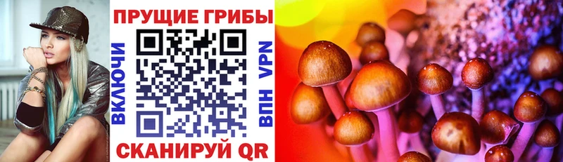 Псилоцибиновые грибы Magic Shrooms  MEGA   Бикин  купить наркотик 